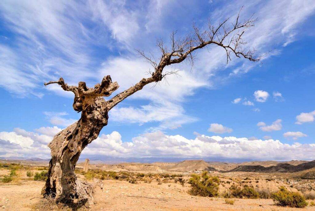 Deserto in Spagna