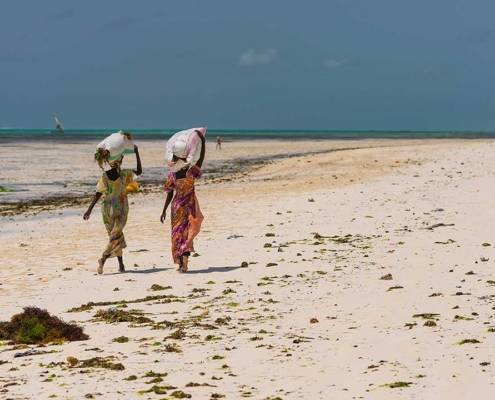 Fenomeno delle maree Zanzibar