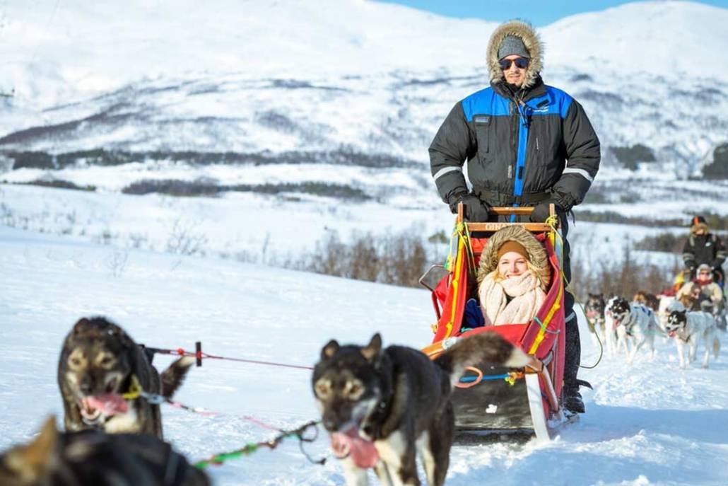 Escursione cani da slitta Norvegia con pranzo