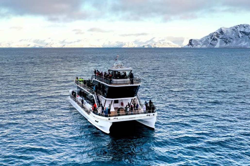 Tour in catamarano elettrico Tromsø