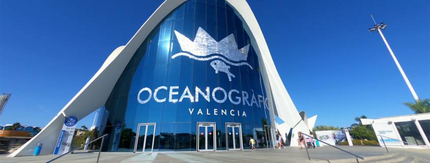 Visitare l'oceanografico di Valencia biglietti