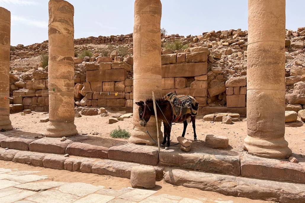 Cosa vedere a Petra la strada colonnata