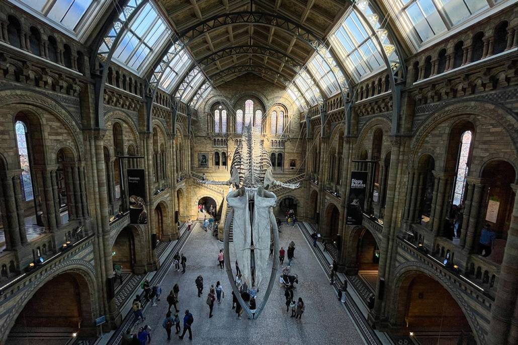 Museo di Storia Naturale Londra