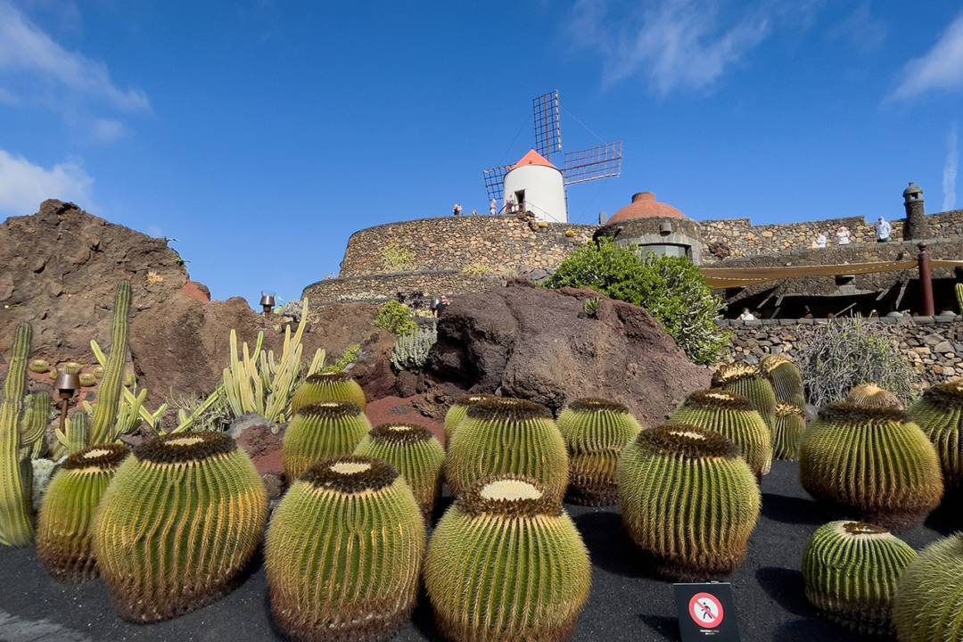 Giardino dei Cactus Lanzarote
