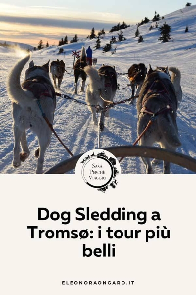 Dog Sledding a Tromsø i tour più belli